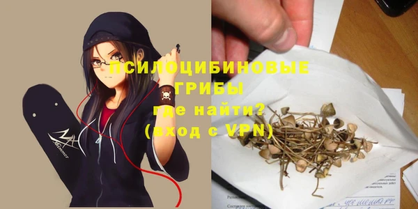 винт Алексеевка