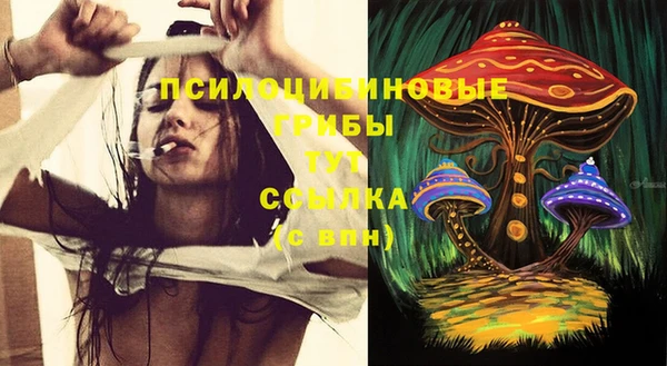 ALPHA PVP Алексин