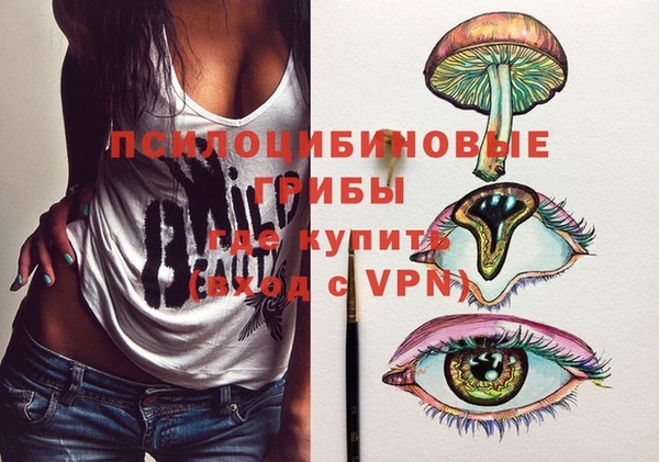 гидропоника Алзамай