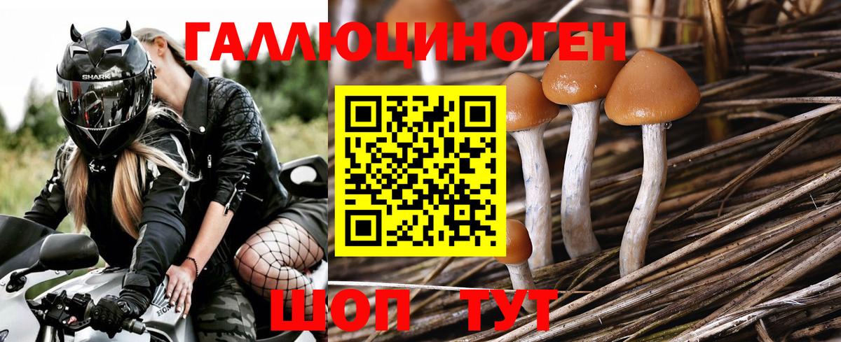 Псилоцибиновые грибы мухоморы Морозовск