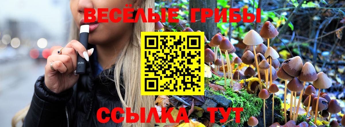 Галлюциногенные грибы ЛСД  Галлюциногенные грибы Magic Shrooms  Морозовск  Вход с VPN 